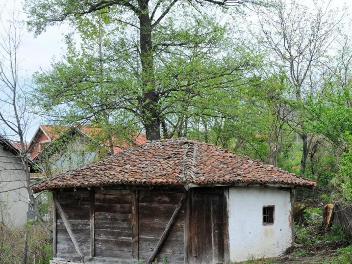 Bistricki Mir 1 Appartement Petrovac na Mlavi Buitenkant foto
