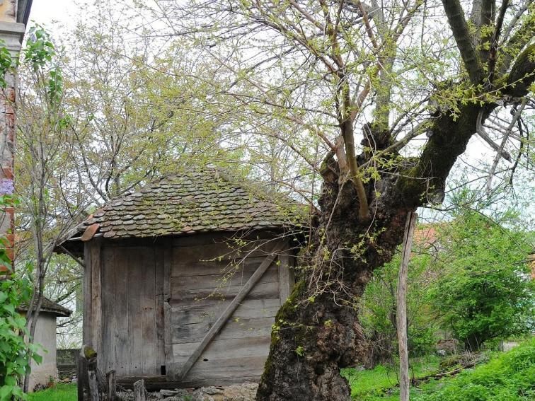 Bistricki Mir 1 Appartement Petrovac na Mlavi Buitenkant foto