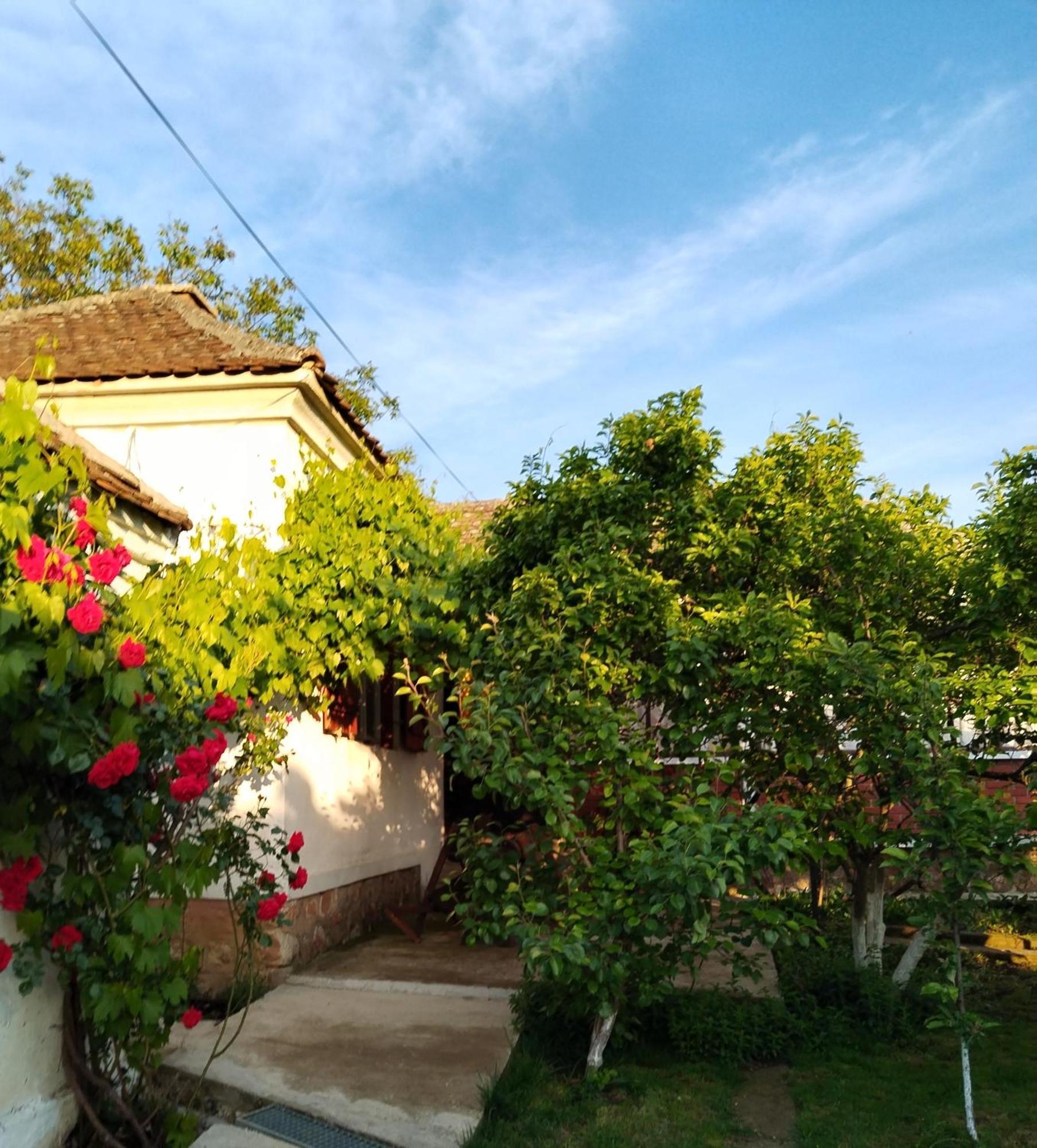 Bistricki Mir 1 Appartement Petrovac na Mlavi Buitenkant foto